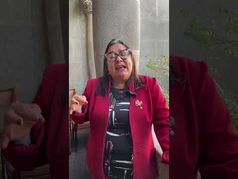 LLAMADO A PARO 4 Y 5 DE JUNIO: ARLINE ORO ÁVALOS / TARAPACA