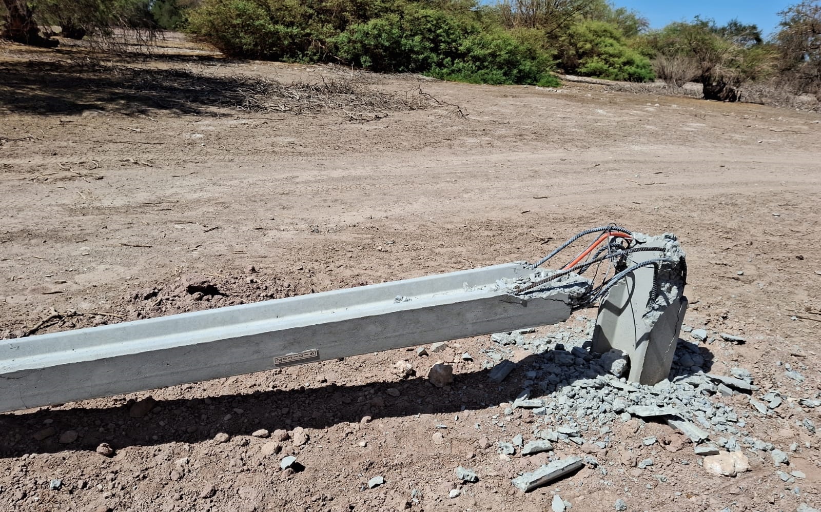 CANCHONES ¨PICA 2024-12-16 (2)