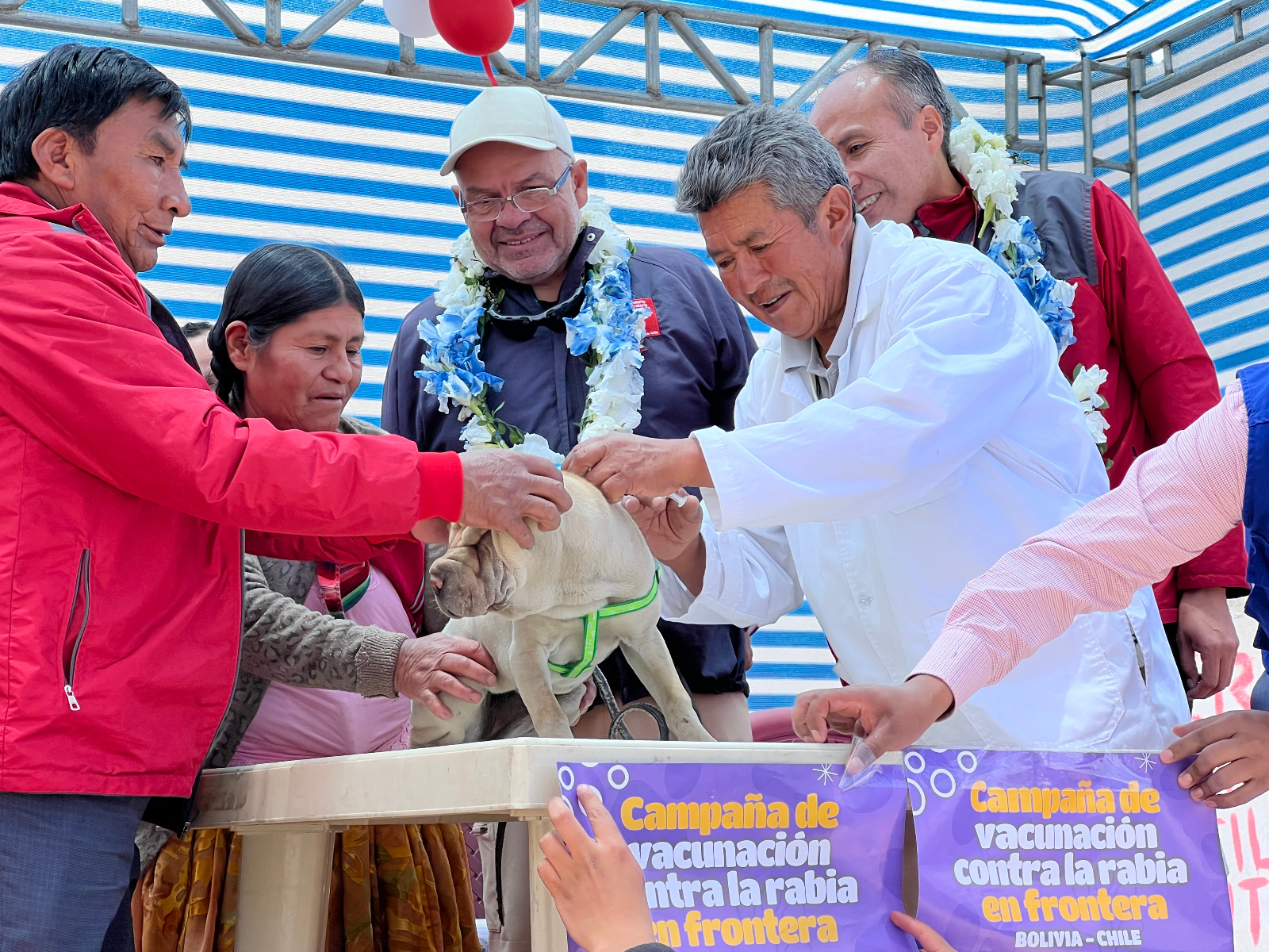 Ministerios de Salud de Chile y Bolivia realizan hito bilateral de vacunación contra la rabia en Pisiga