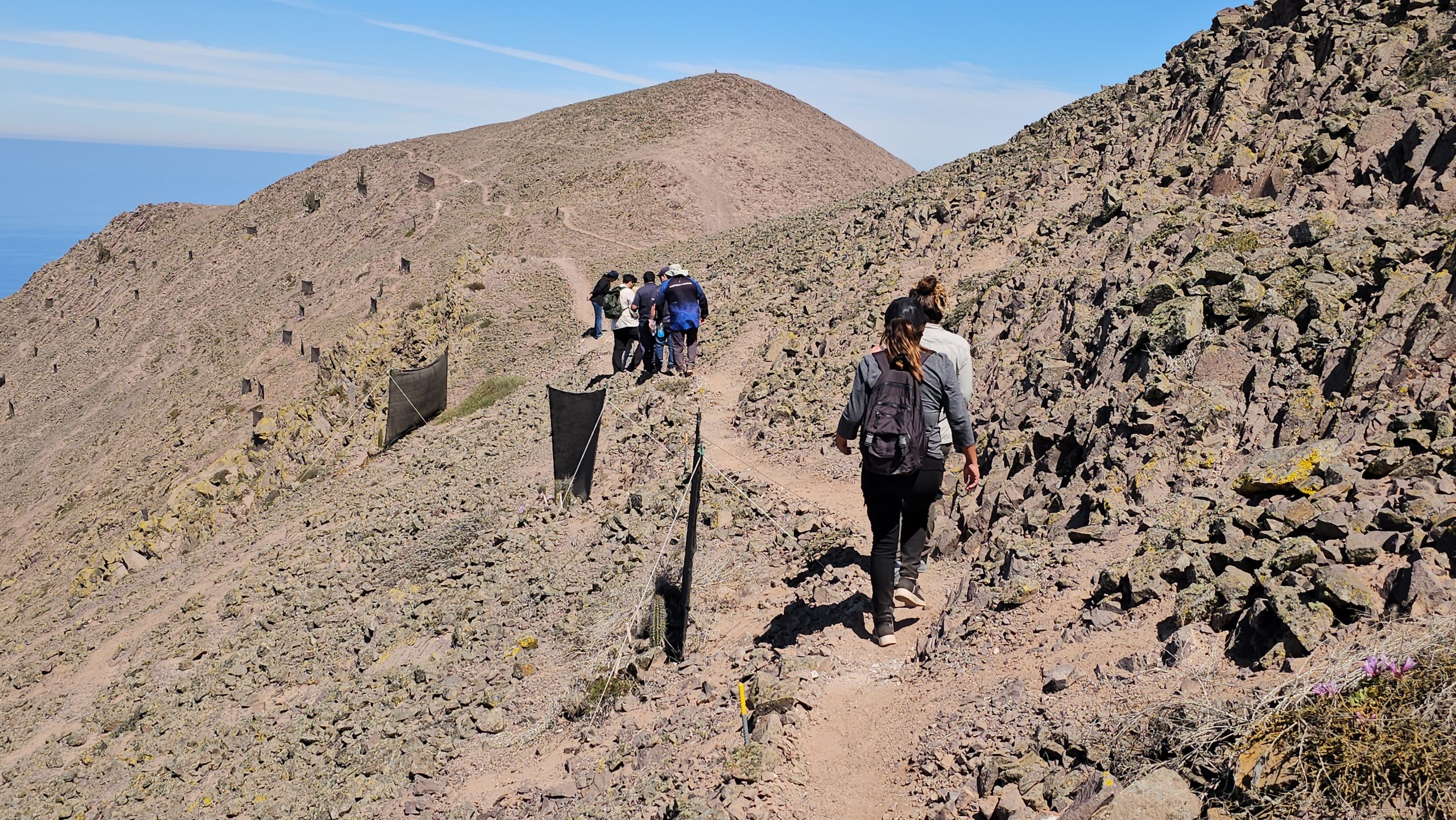 ONG Biotandina impulsa acciones para proteger Santuario de la Naturaleza Punta Gruesa