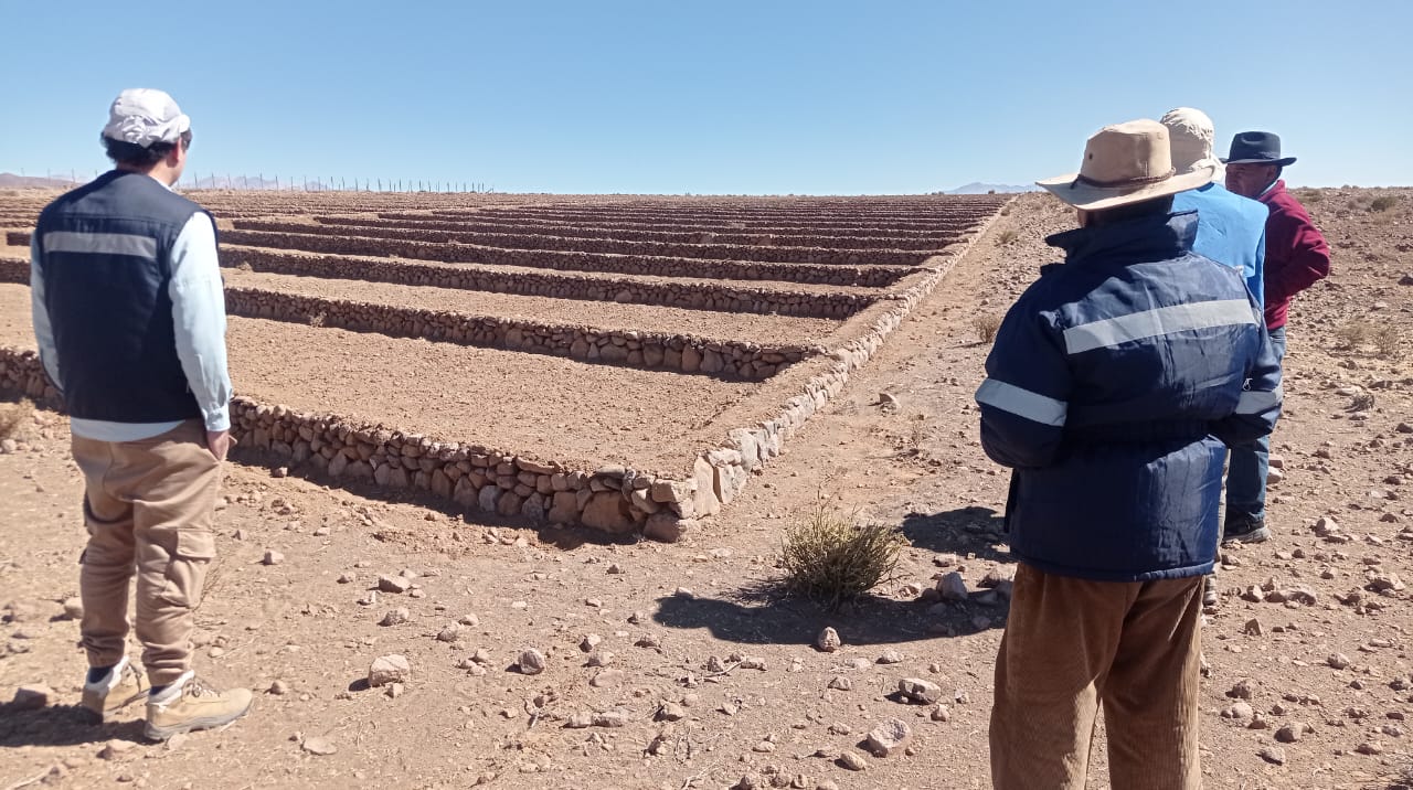 INDAP abre concurso Operación Temprana 2026 para agricultores del Tamarugal