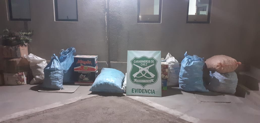 Carabineros detuvo a conductor por contrabando en Ruta 15-CH