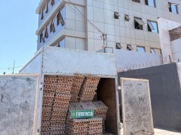 Detienen a mujer por contrabando aduanero e incautan cerca de 40 mil huevos en Alto Hospicio