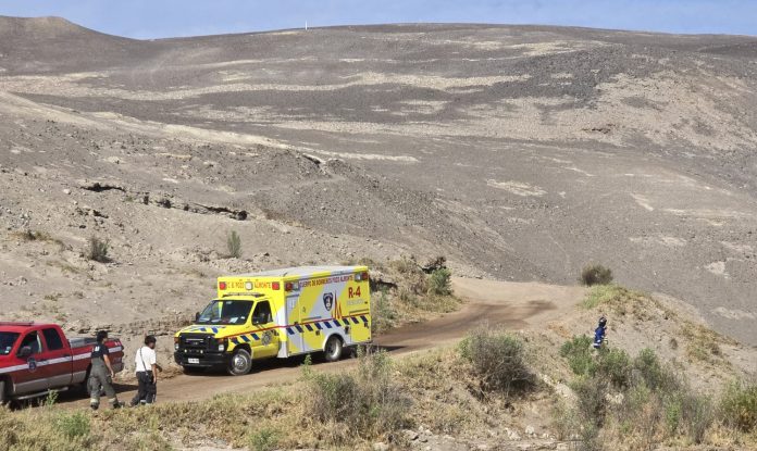 WhatsApp Image 2026-02-17 at 10.51.31