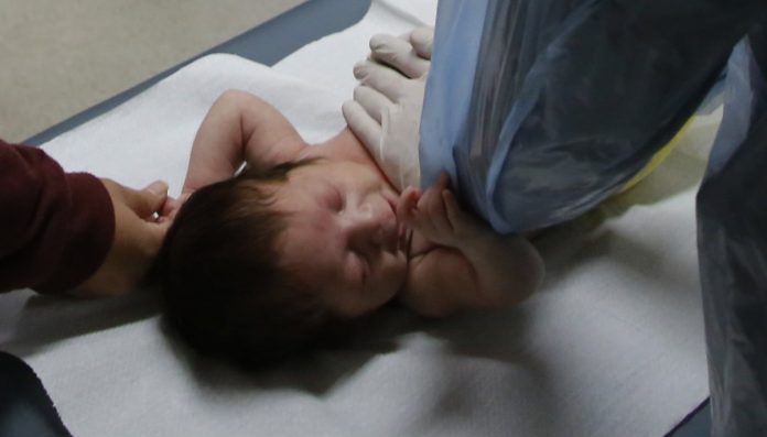 Nacimientos aumentaron 1% interanualmente en diciembre de 2025