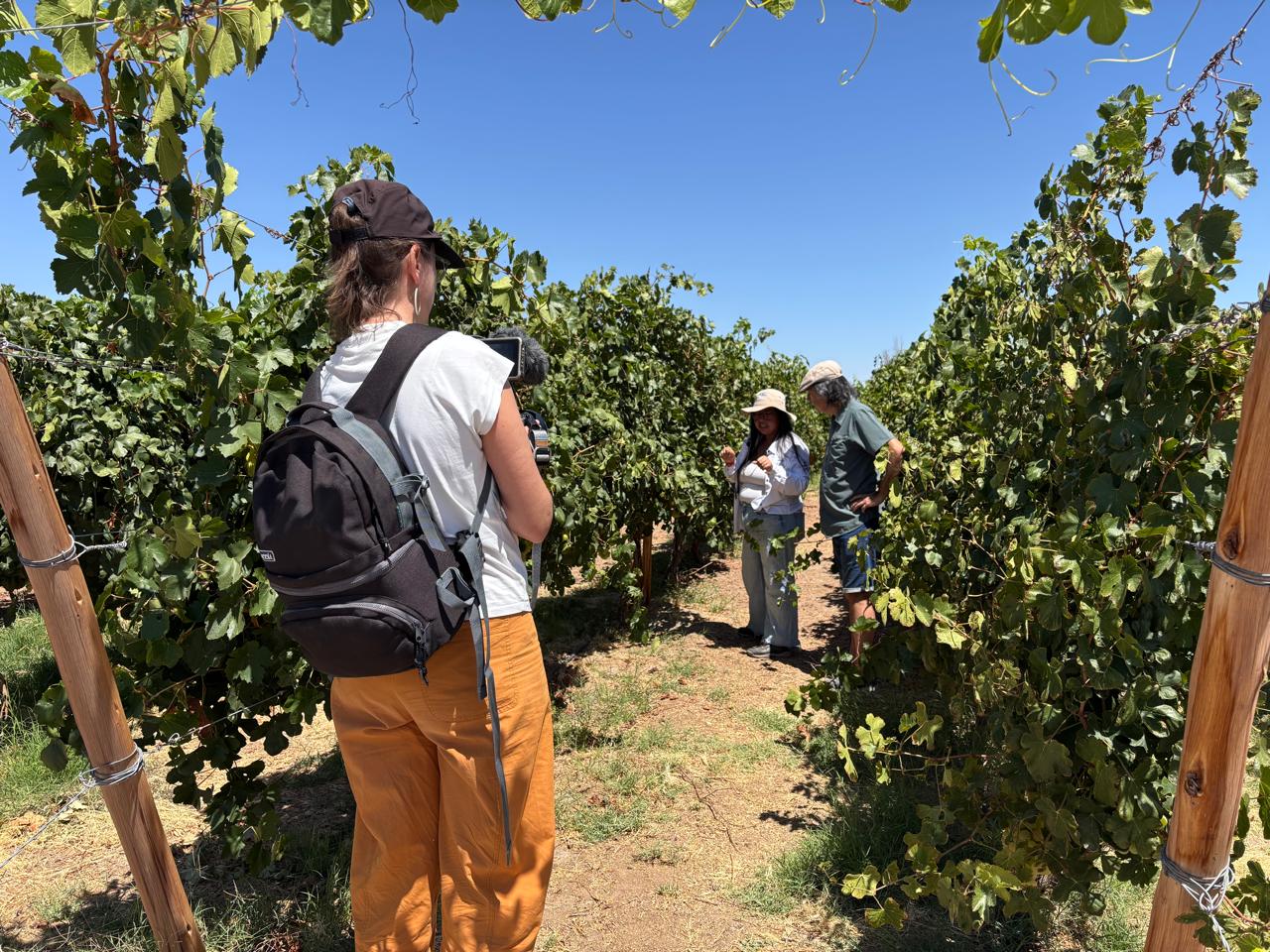 Experto internacional del vino visita Canchones y destaca calidad del “Vino del Desierto”