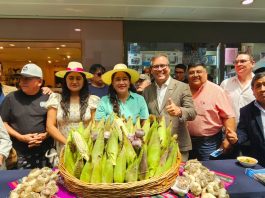 Lanzan en Iquique el Festival del Choclo y el Ajo Camiñano 2026 con alta convocatoria