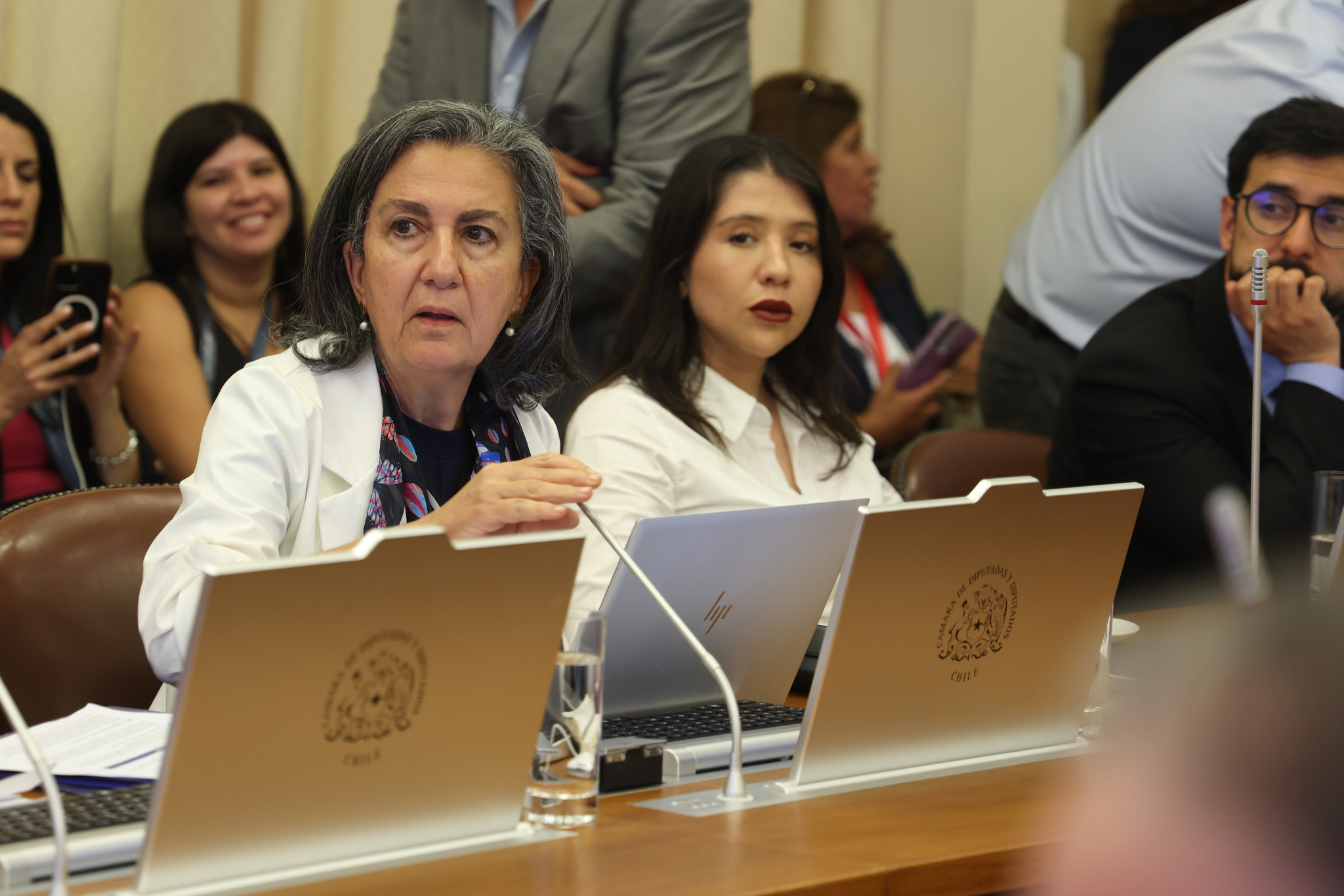 Ministra de Salud May Chomalí