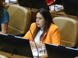 Diputada Ximena Naranjo pide máxima urgencia para proyecto que exige viviendas accesibles