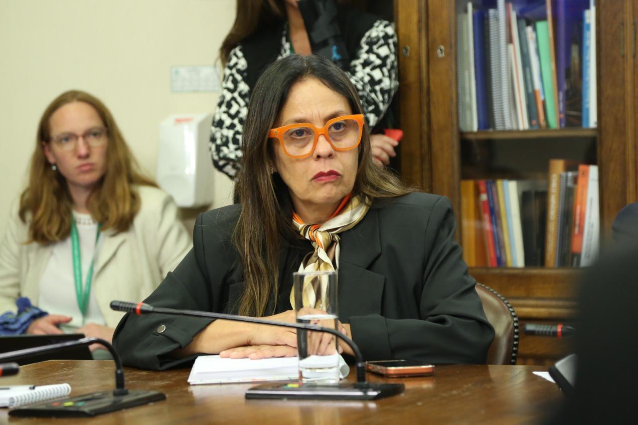 Ximena Naranjo respalda plan contra violencia escolar y pide foco en la realidad de Tarapacá