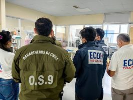 Detienen a mujer acusada de apuñalar a su pareja en Iquique tras fingir un robo