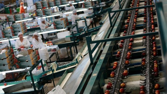 Índice de Precios de Productor Industrias registró un aumento de 1,6% en abril de 2026
