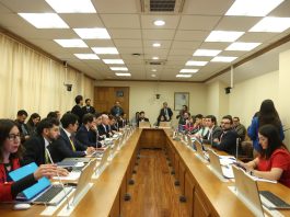 Comisión de Medio Ambiente retoma este lunes discusión del proyecto de Reconstrucción Nacional