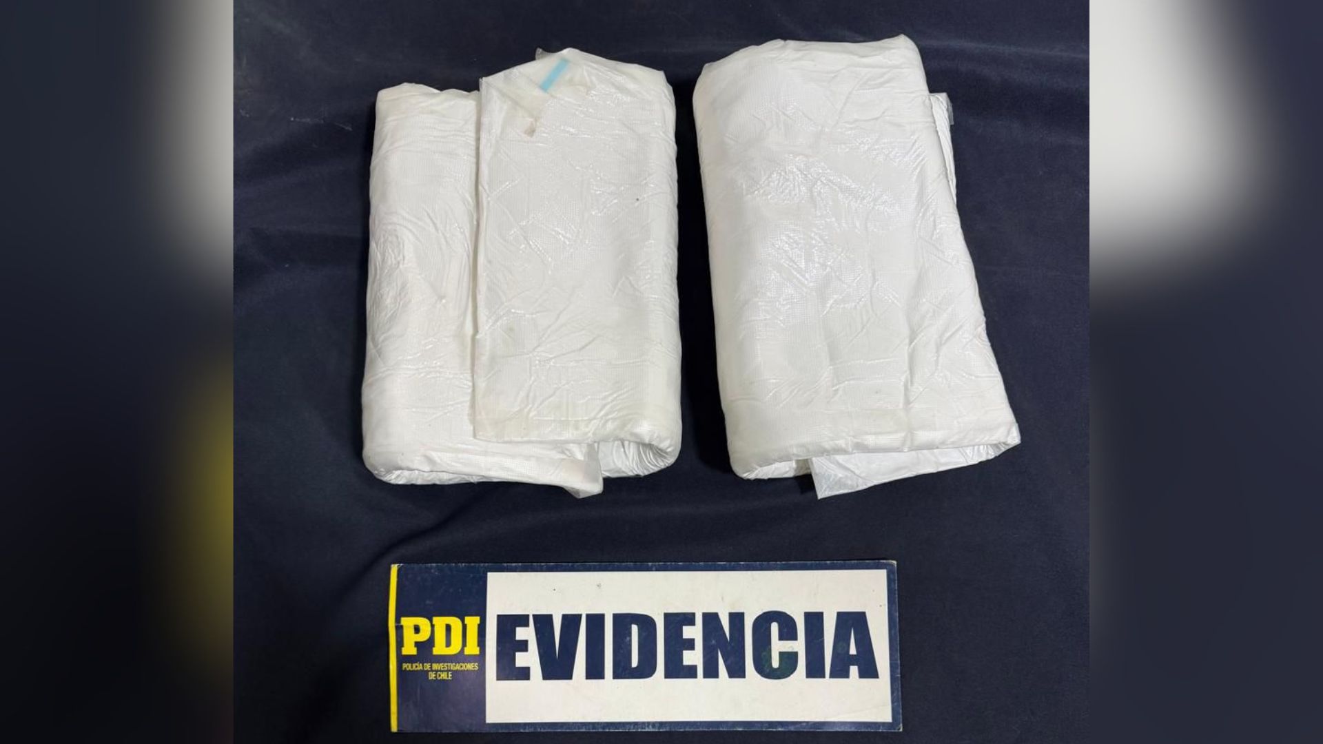 Detienen a mujer que intentó trasladar más de un kilo de drogas desde Iquique a Santiago
