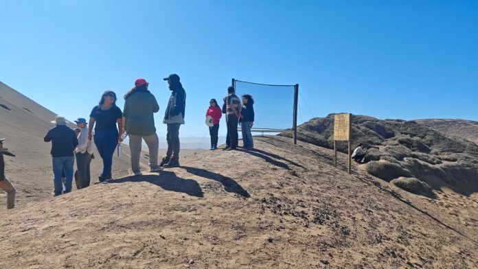 Científicos internacionales destacan proyecto ambiental “Miradores de Niebla” en Alto Hospicio