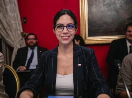 Ministra de Medio Ambiente afirma que tensión entre crecimiento económico y protección ambiental es “artificial”