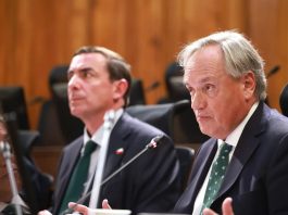 Senado ratifica nombramiento de Dinko Franulic como nuevo ministro de la Corte Suprema