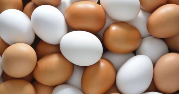SERNAC detecta incumplimientos en etiquetado de huevos y llama a consumidores a comparar por proteína y peso