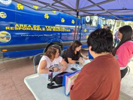 Alto Hospicio abre inscripciones para 1.450 esterilizaciones gratuitas de perros y gatos