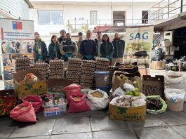 SAG decomisa más de 3 toneladas de productos de contrabando y 15 mil huevos en Tarapacá