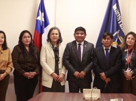 Alcaldes del Tamarugal plantean a ministra de Salud demandas por infraestructura, especialistas y financiamiento