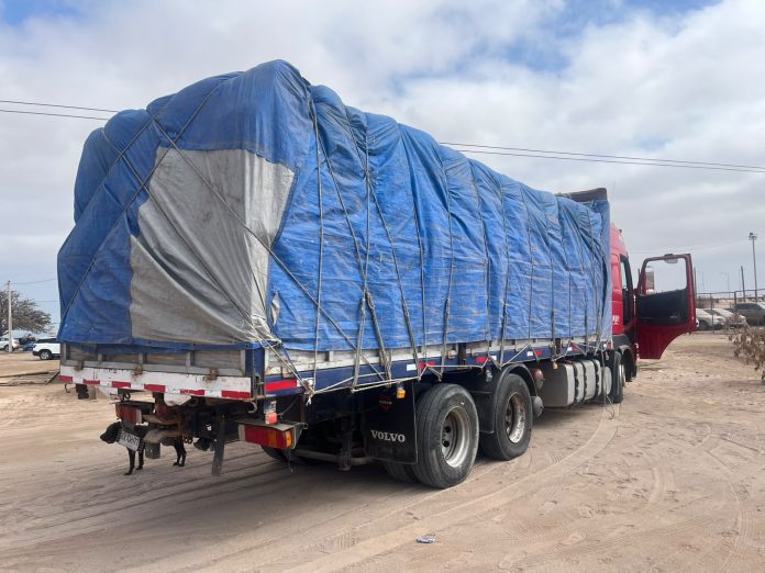ARICA | Interceptan camión con 10 toneladas de contrabando en la frontera