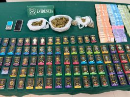 Carabineros frustra venta de derivados de cannabis en plena Fiesta de La Tirana