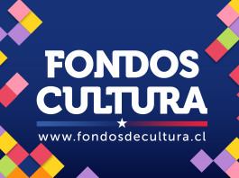 Ministerio de las Culturas reduce en cerca de un 50% los recursos de los Fondos 2027
