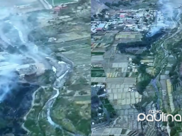Controlan incendio forestal en Camiña que afectó tres viviendas y Senapred declara Alerta Amarilla