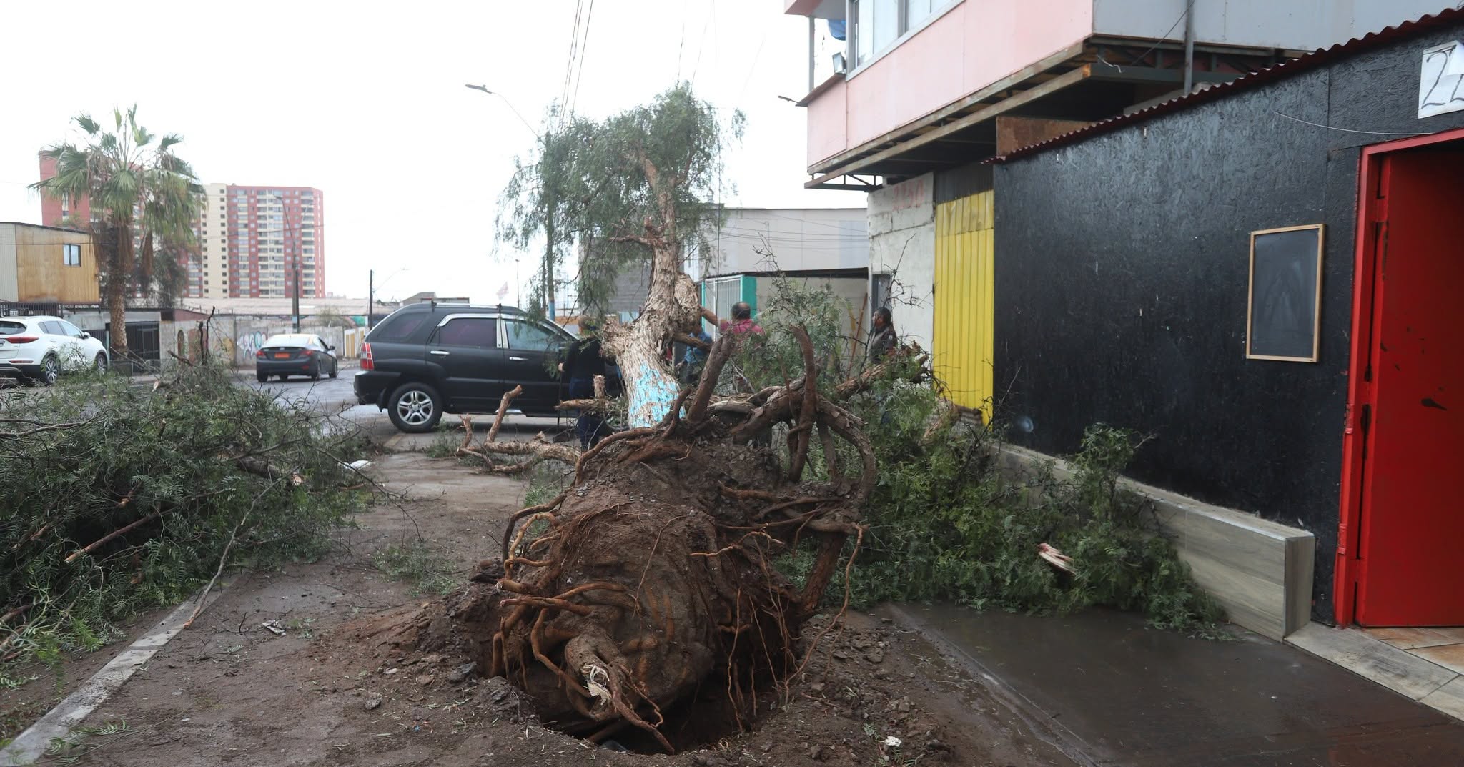 Municipio de Iquique entrega balance por vientos y precipitaciones que afectaron a la comuna