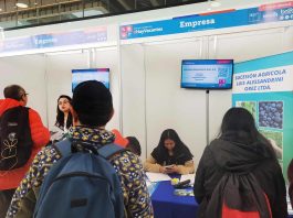 CIMIT 2026 | Feria “Más Empleo” ofrecerá nuevas oportunidades laborales en Iquique