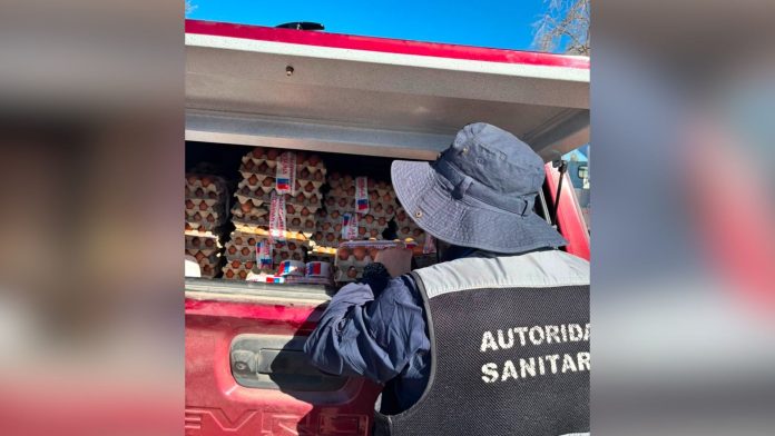 Detectan salmonella en plantel avícola de Los Verdes: Autoridades adoptan medidas y entregan recomendaciones