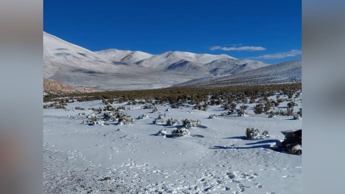 Emiten aviso por nevadas de hasta 10 centímetros en la cordillera de Tarapacá