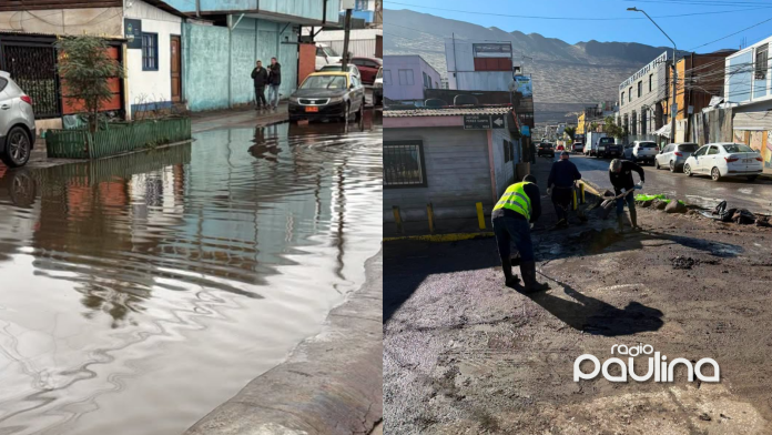 SENAPRED eleva a 523 los damnificados en Tarapacá y reporta nuevas afectaciones por emergencia meteorológica