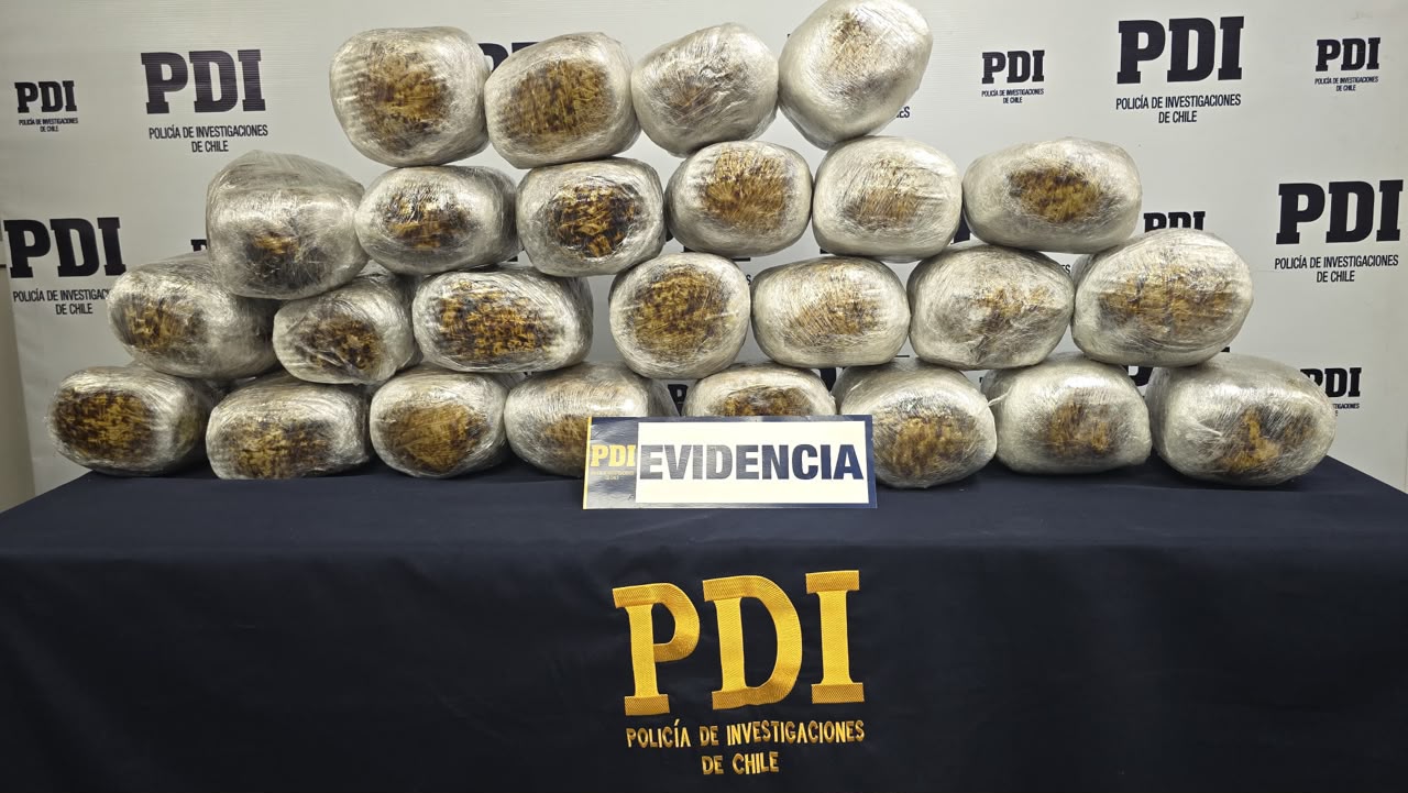 ARICA | Detienen a dos sujetos que portaban más de 28 kilos de cannabis sativa ocultos en camión de alto tonelaje