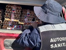 Tarapacá registra 40 brotes de salmonella y Salud refuerza prohibición del uso de huevos crudos