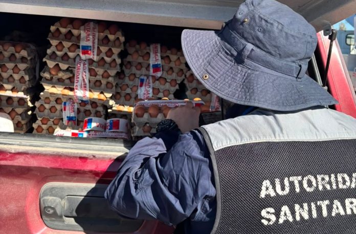 Tarapacá registra 40 brotes de salmonella y Salud refuerza prohibición del uso de huevos crudos