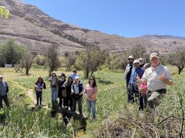 Tarapacá reúne a agricultores de cinco territorios del país en Encuentro Nacional de Patrimonio Agrícola Mundial