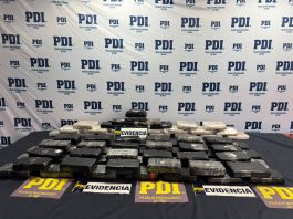 PDI y Aduanas detienen a seis personas e incautan más de 10 kilos de drogas en Tarapacá