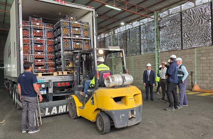 SAG Arica y SENASA Argentina realizan primera inspección conjunta para exportar tomates por paso Jama