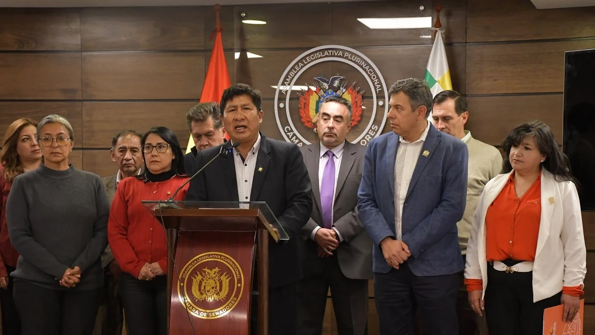 Senadores de Bolivia aseguran que no hay presencia de drogas en madera boliviana y cuestionan investigaciones en Chile