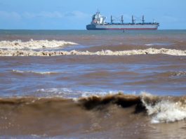 Declaran emergencia preventiva por riesgo de marea roja en Tarapacá y otras 14 regiones del país