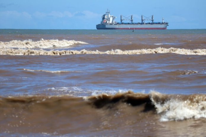 Declaran emergencia preventiva por riesgo de marea roja en Tarapacá y otras 14 regiones del país