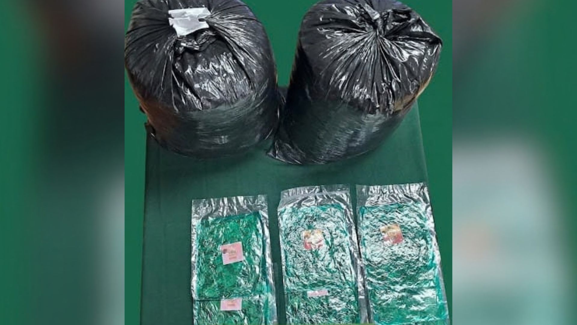 Detienen a madre y su hijo por transportar 17 kilos de hojas de coca en Colchane