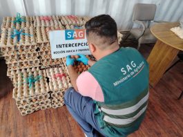 Cámara de Diputados aprueba proyecto para hacer frente al contrabando y sus consecuencias fitosanitarias