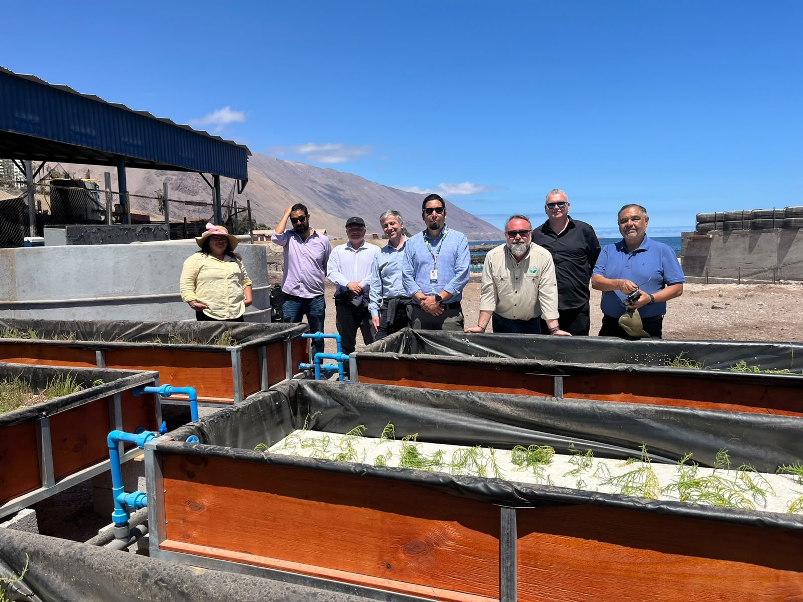 Director ejecutivo de FIA visita proyectos de innovación agrícola en Tarapacá