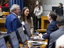 Senado aprueba proyecto que flexibiliza el traspaso de colegios municipales a los SLEP