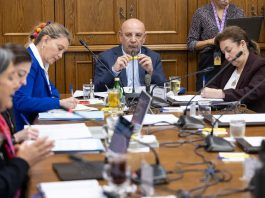Ley Ricarte Soto: Ministerio de Salud propone aumentar financiamiento a $185 mil millones en medio de debate por recorte presupuestario